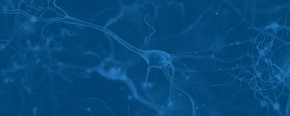 Introduction to Brain Health