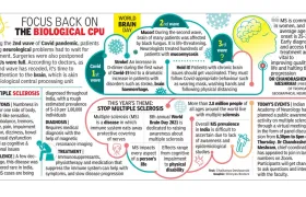 WBD21 IAN Times of India