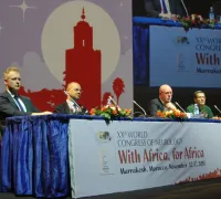 WCN2011 D2 DSC 0684